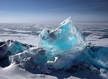 开云电子-巴洛特利低薪投意乙，老贝和加总给了他最后的机会